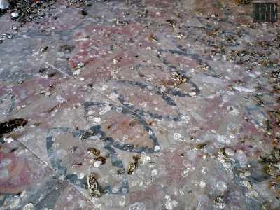 ...oltre ad antiche cementine dai decori geometrici sul pavimento